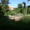 The Secret Garden