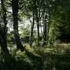 The Secret Garden