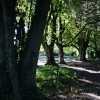 The Secret Garden