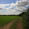 Fields near Willerby
