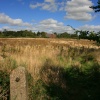 Fields near Willerby