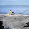 Just a quiet day fishing.