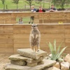 A picture of the Yorkshire Wildlife Park, Doncaster
