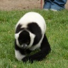 A picture of the Yorkshire Wildlife Park, Doncaster