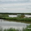 Minsmere Nature Reserve