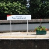 Welcome to Brockenhurst