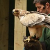A picture of the Yorkshire Wildlife Park, Doncaster