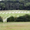 They cut the grass.