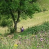 Near the Roaches