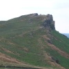 The Roaches