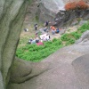 The Roaches