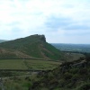 The Roaches
