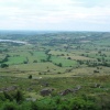 The Roaches