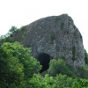 The Roaches