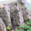 The Roaches