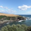 View from Newtonhill