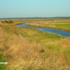 The River Alde