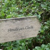 One of the many rustic signposts