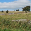 Middleton Moor