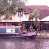 The Pelican.