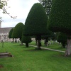 St. George's Churchyard, Kings Stanley, Gloucestershire.
