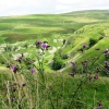 Yorkshire Dales