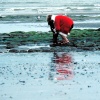 Searching the rock pools.