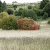 Bedfordshire
