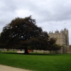Bolsover Castle