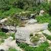 Brimham Rocks