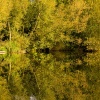 Reflections