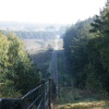 Ash Common