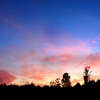Cannock Chase sunset panorama 1