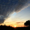 Cannock Chase sunset panorama 2