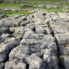 Malham Cove Limestone Pavements.