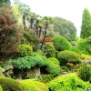 Leonardslee Gardens