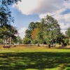 The Village Green
