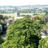Warwick