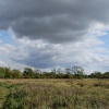 Cossington Meadows