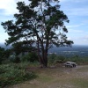 Leith Hill