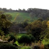 Iford Manor Gardens