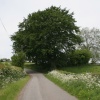 Wheat Hill