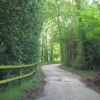 Dorset Lane