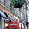 On a London street, a hanging flower basket over phone boxes.