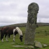 Stone cross and local resident on Bodmin Moor