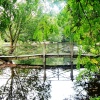 Thorp Perrow