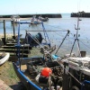 Folkestone harbour