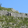 Ingleton Falls