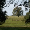 Raby Castle, Staindrop.