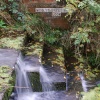 Woolsthorpe Bottom Lock